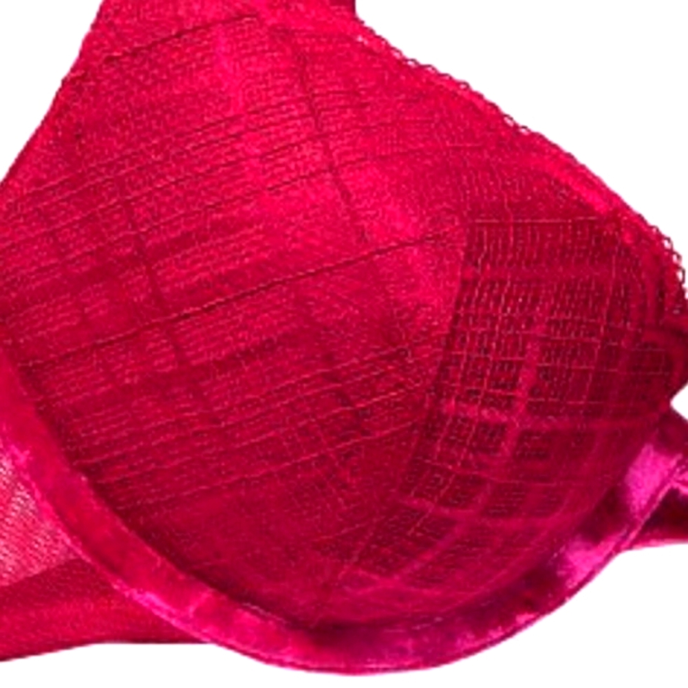 🥀 NWOT VS Dark Fuchsia Plaid Scalloped Underwire Sexy Push-Up Bra - 38D - Picture 10 of 16